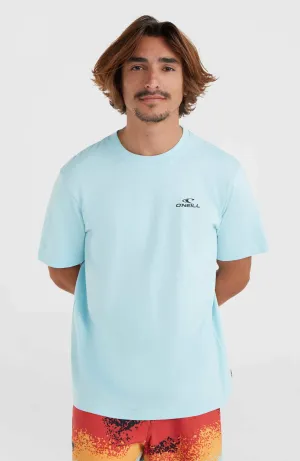 Jordy Smith Fill T-Shirt | Turquoise