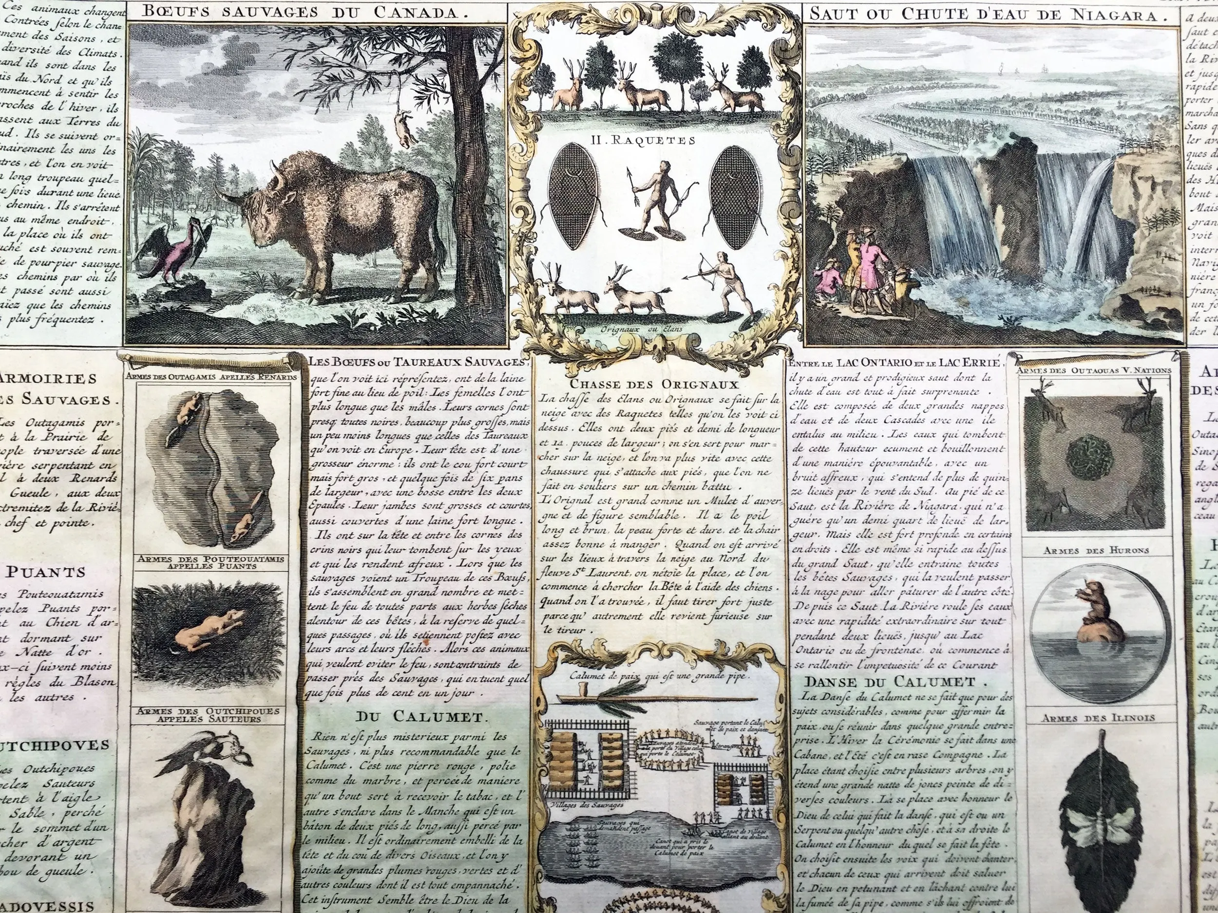 1719 Chatelain Large Antique Print Famous Buffalo Beaver Sheet