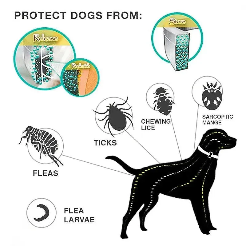 8 Month Protection Anti-Flea and Tick Collar for Dogs and Cats