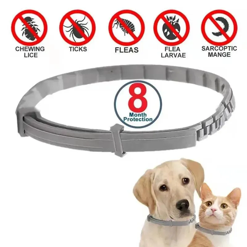 8 Month Protection Anti-Flea and Tick Collar for Dogs and Cats