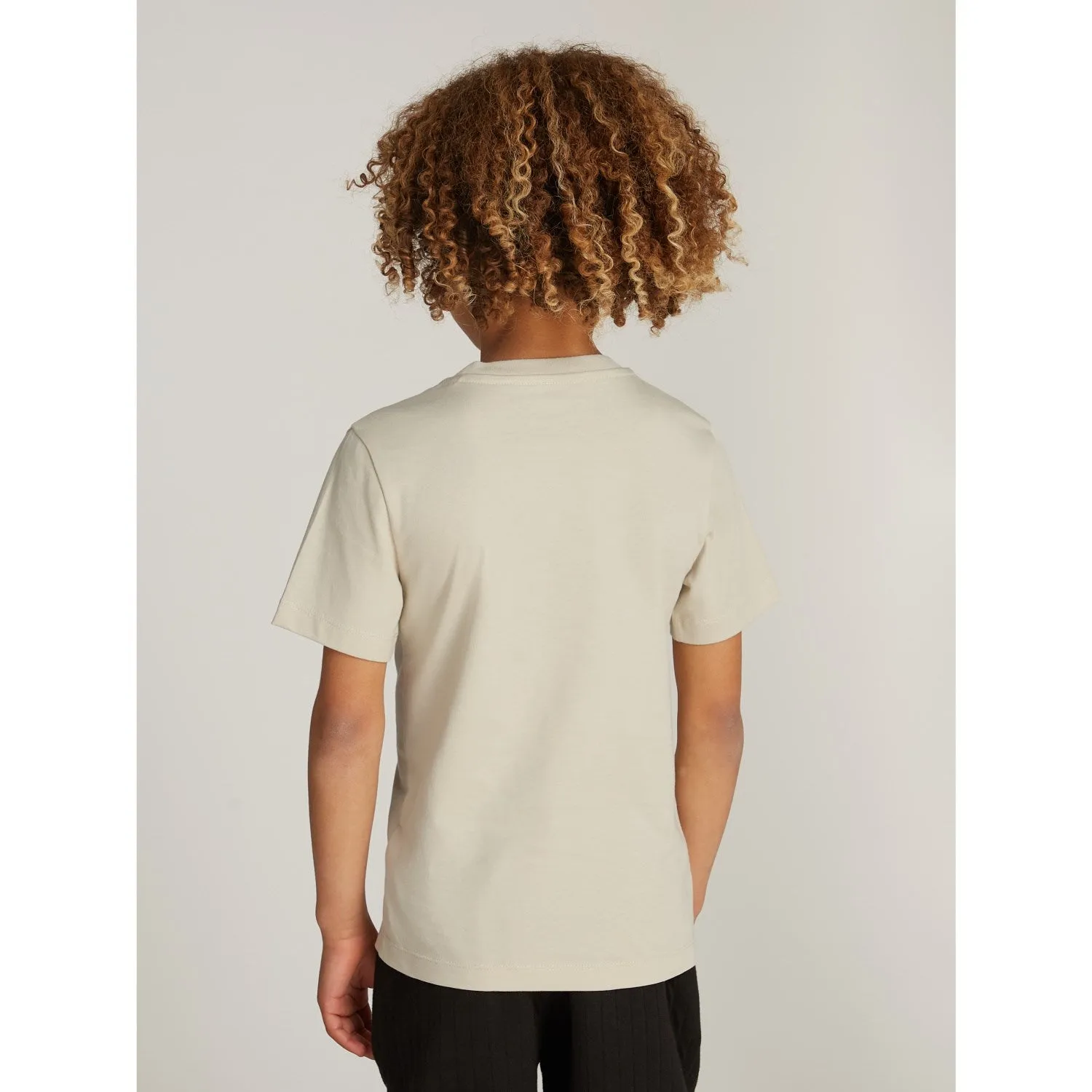 Calvin Klein Pelican Inst. LAndo Tee Ss