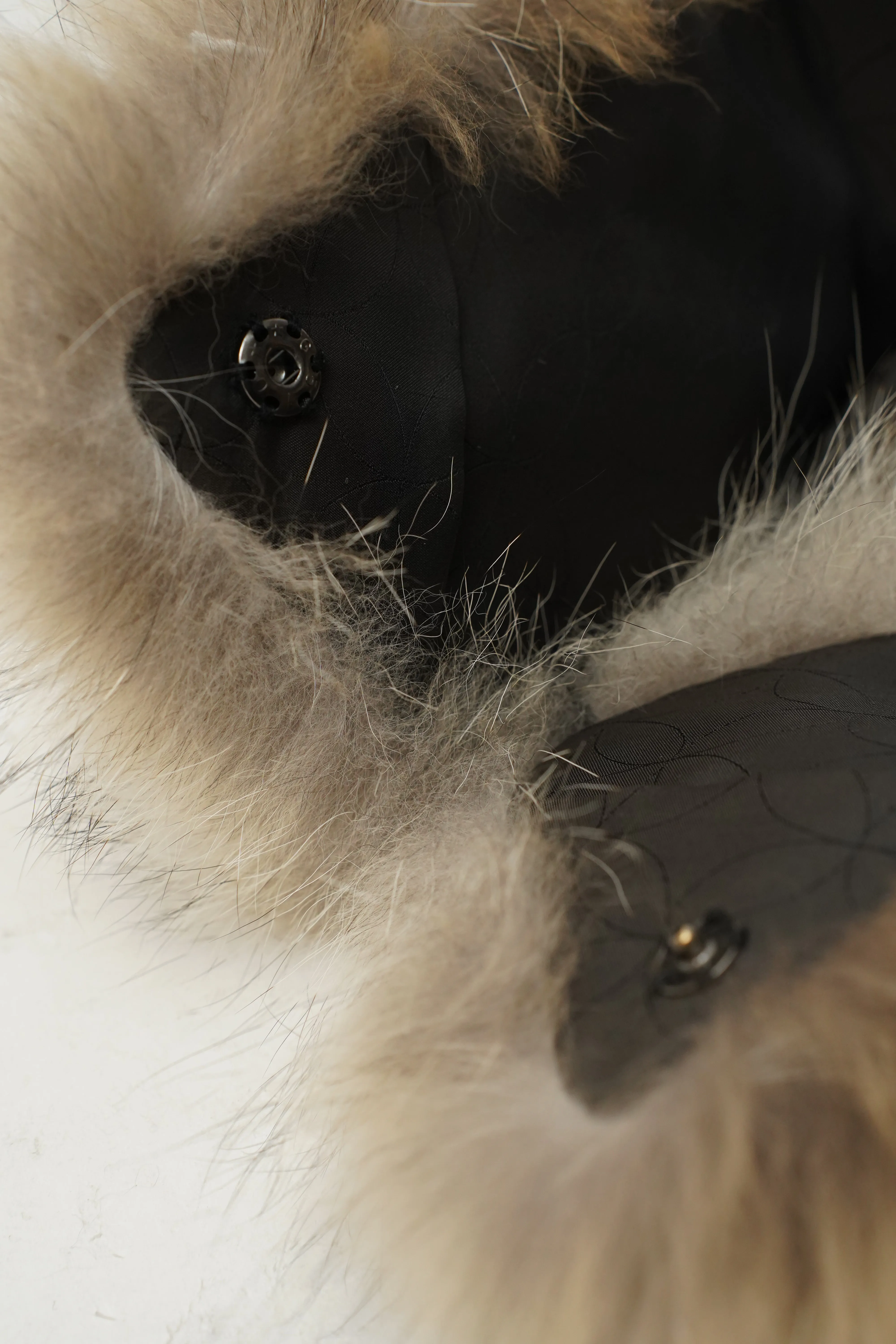 COYOTE -Coyote Fur Collar-