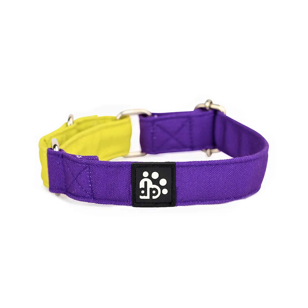 Dear Pet Double Trouble Martingale Purple & Lime Dog Collar