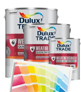 Dulux Trade Weathershield Quick Dry Exterior High Gloss - Tinted Colour Match