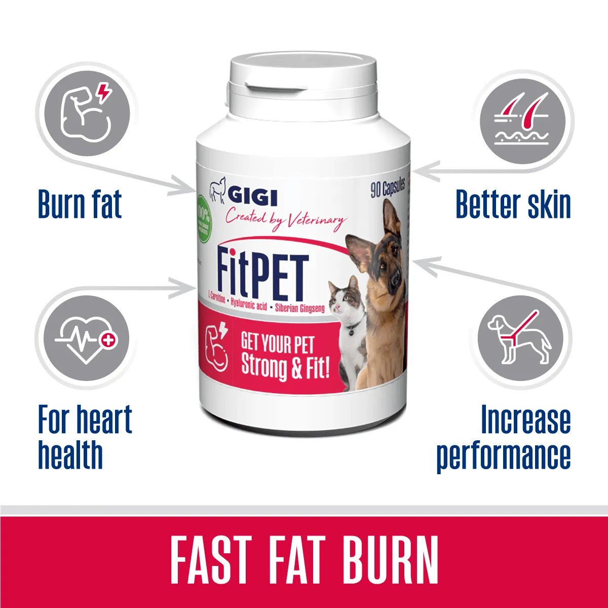 FitPet | Pet Supplement for Energy Boost