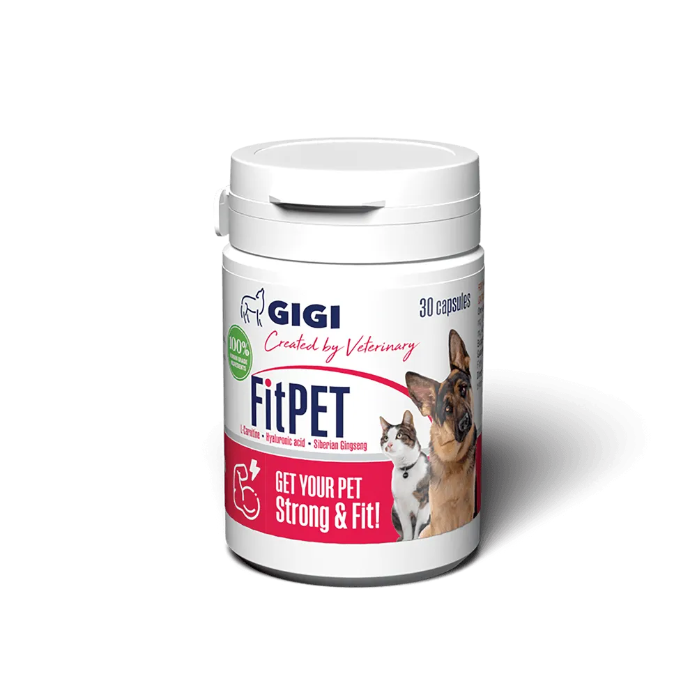 FitPet | Pet Supplement for Energy Boost