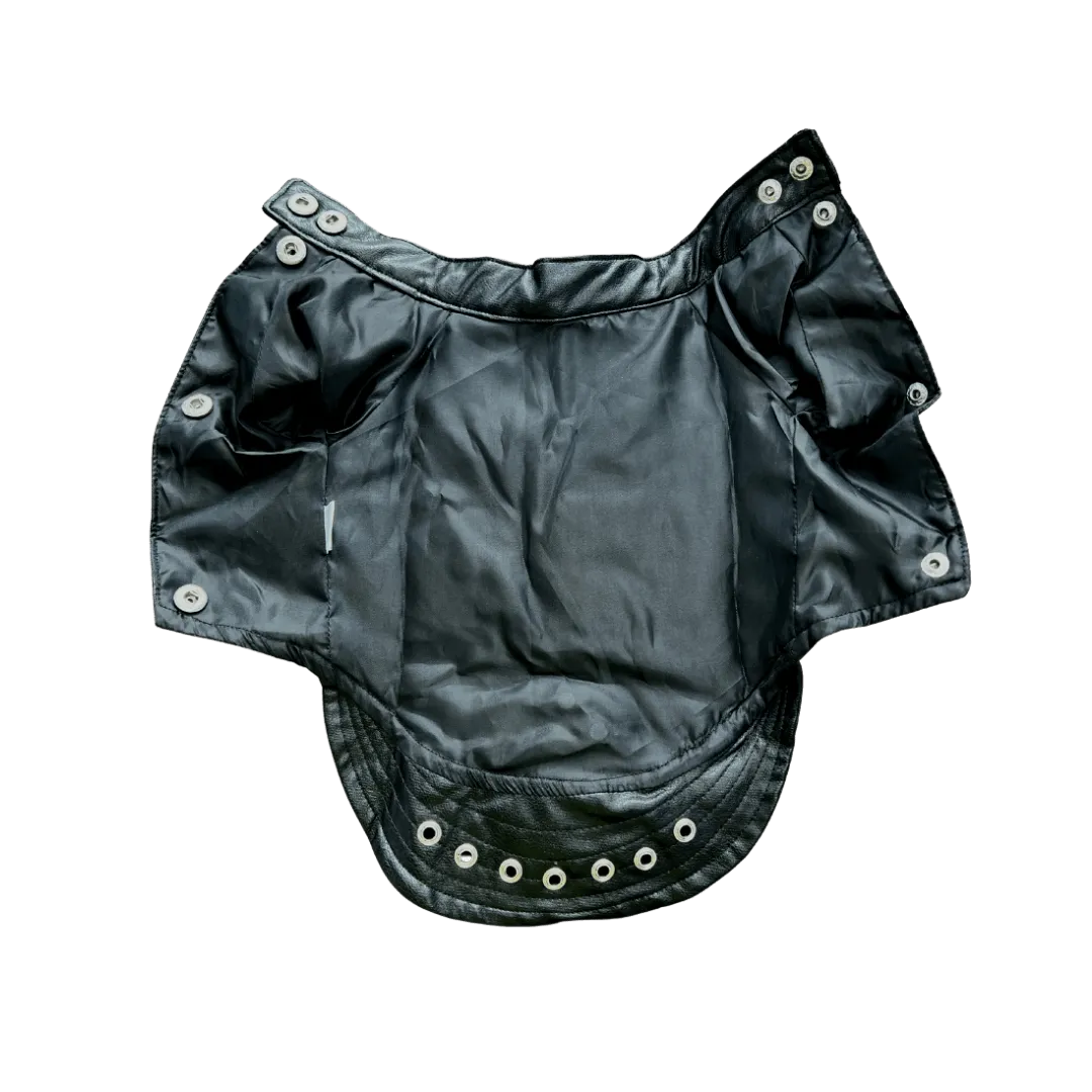 Moto Studded Jacket