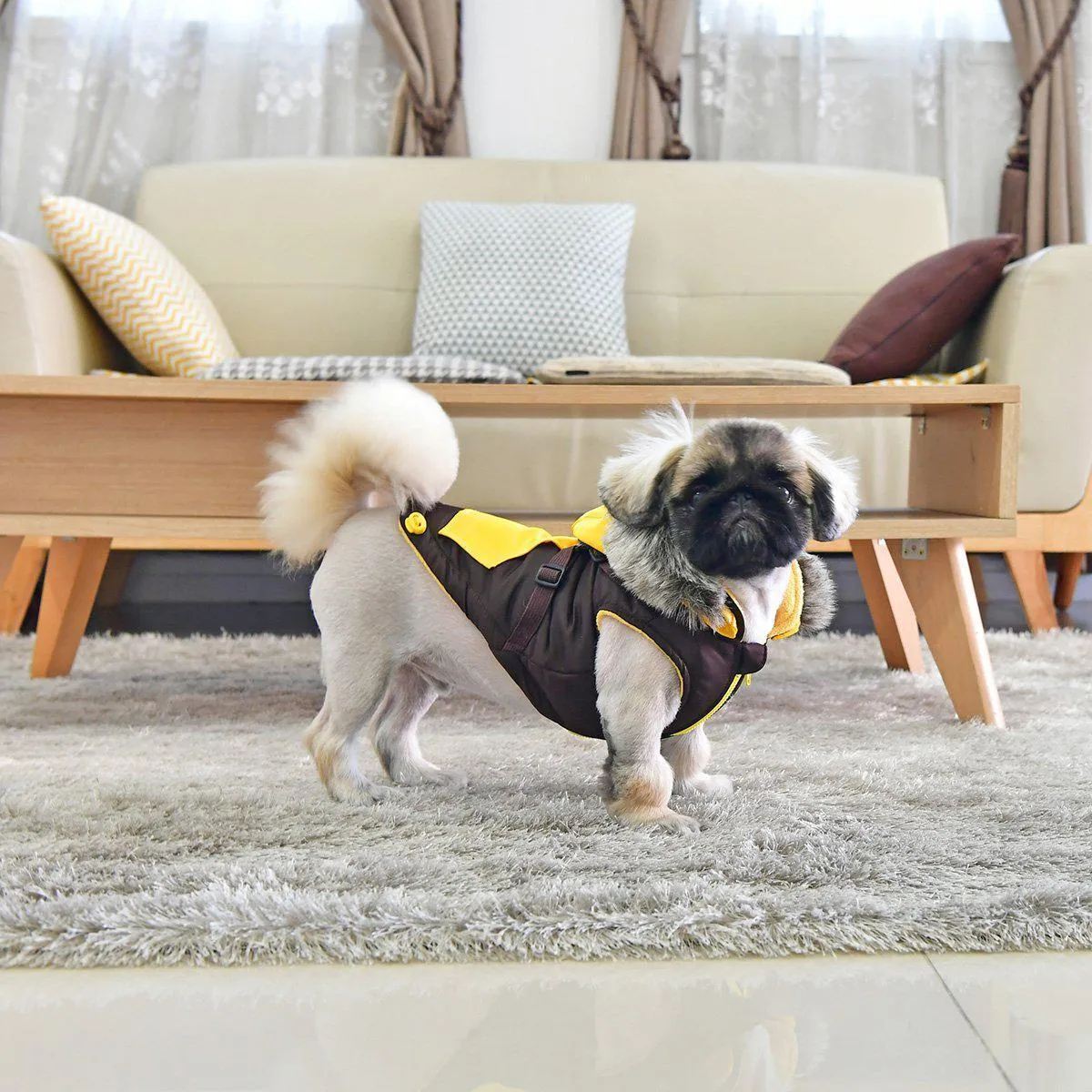 Orson Dog Coat