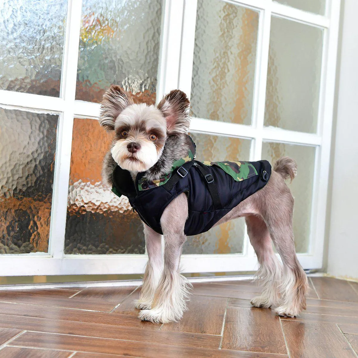 Orson Dog Coat