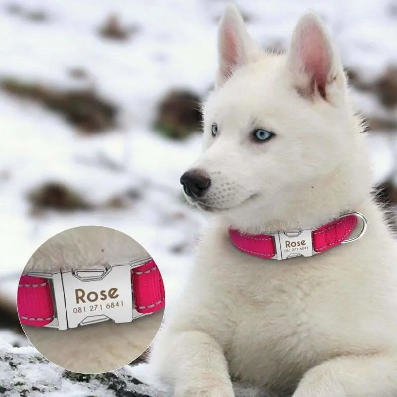 Personalized Dog Collar Just For You