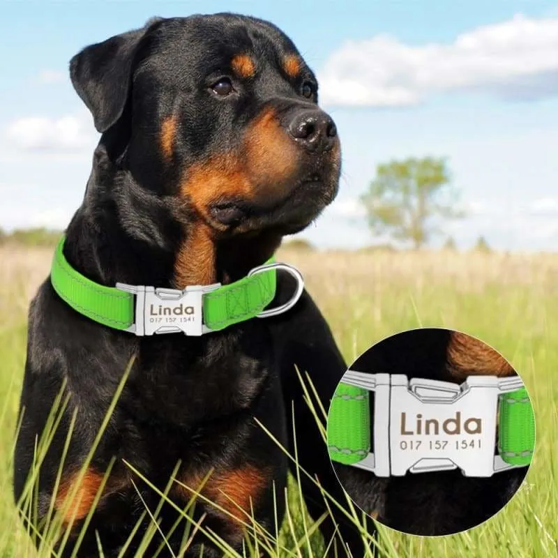 Personalized Dog Collar Just For You