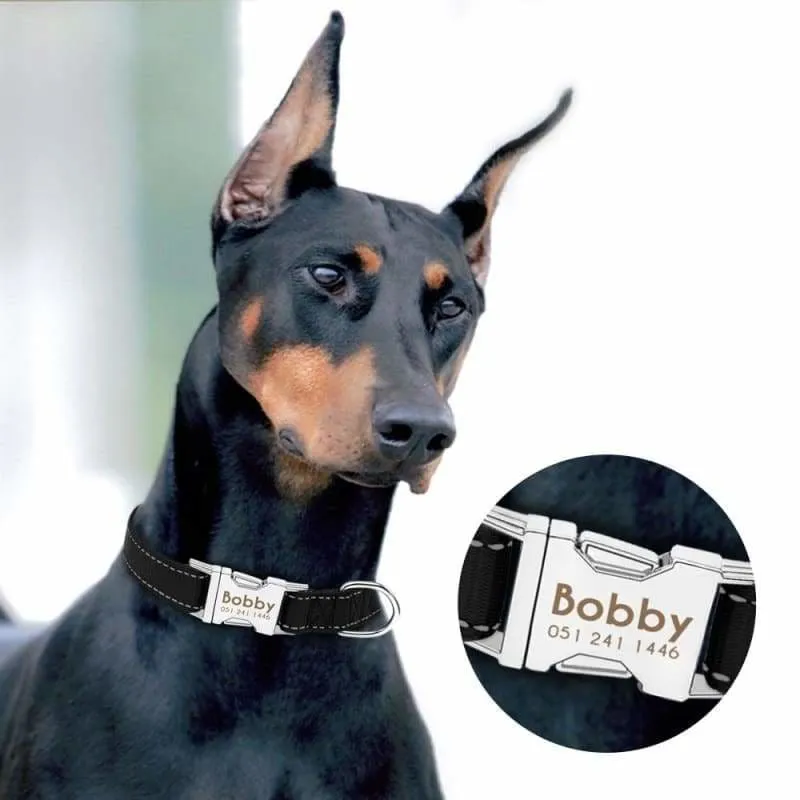 Personalized Dog Collar Just For You