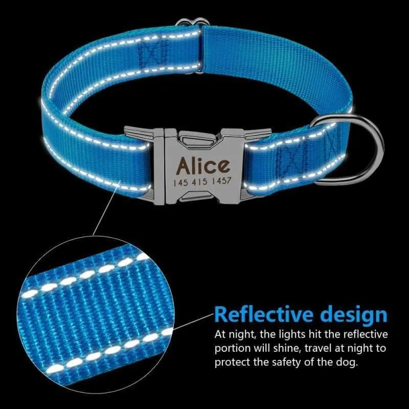 Personalized Dog Collar Just For You