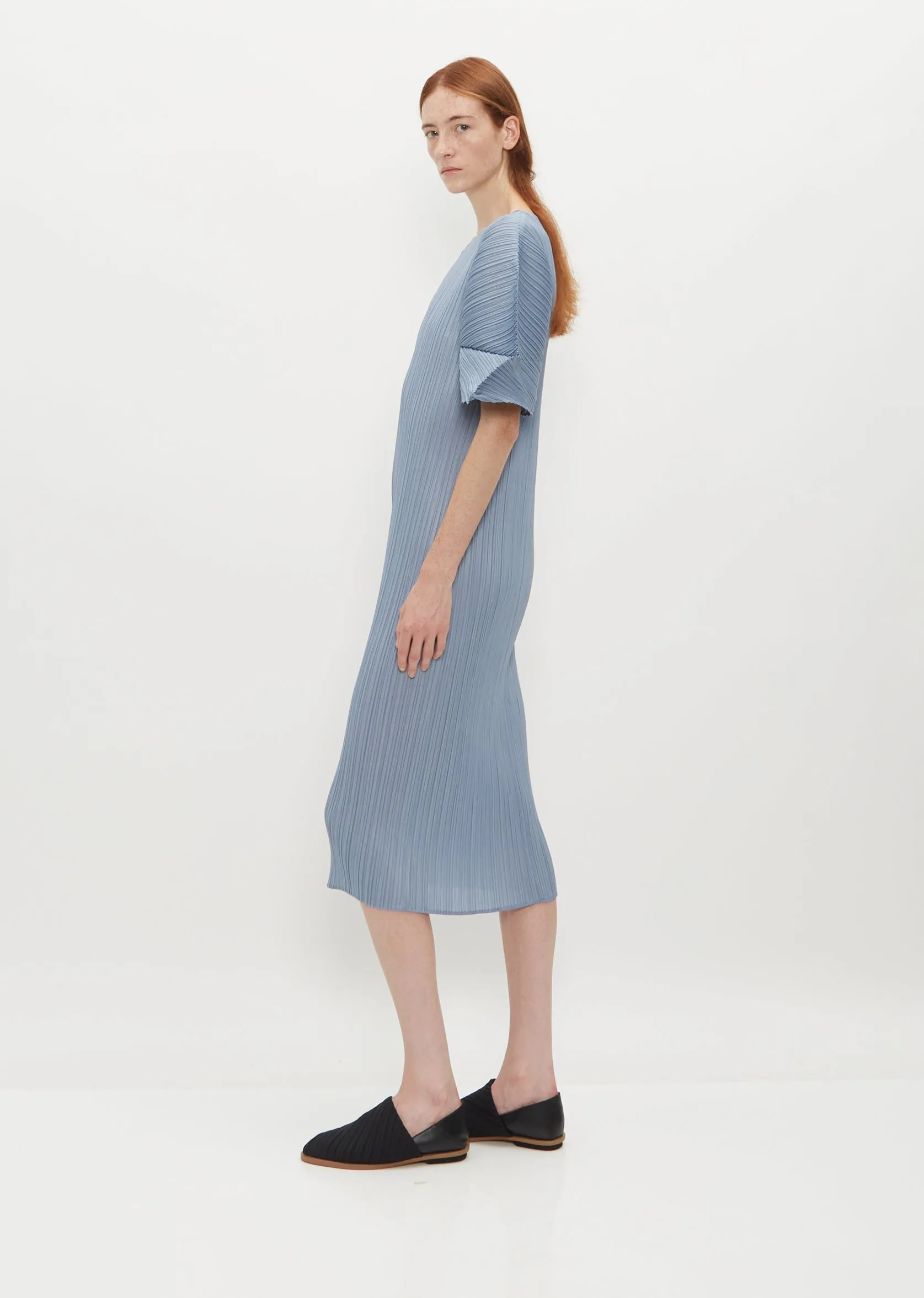 Pleated Wide Sleeve Dress