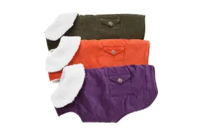 Purple, Green, Orange Corduroy Dog Coats