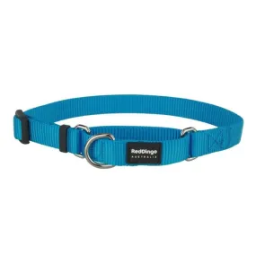 Red Dingo Dog Martingale Collar Turquoise (20mm x 32-47cm)